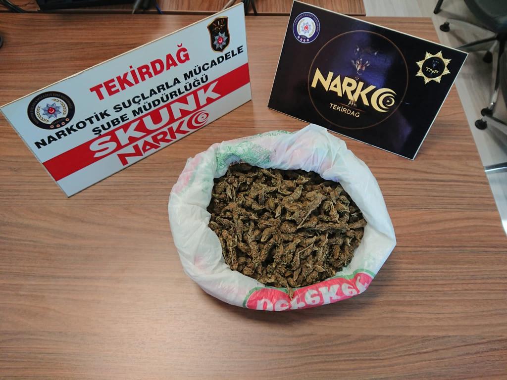 TEKİRDAĞ SKUNK maddesi