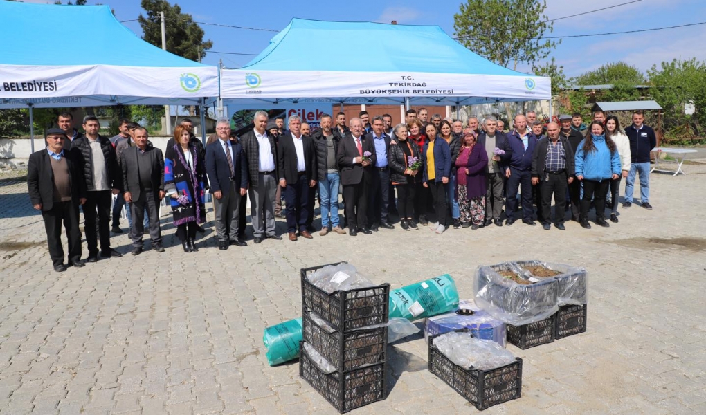 ÜRETİCİLERE ÇİLEK FİDESİ DESTEĞİ