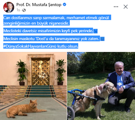 Can dostlarımızı sarıp sarmalamak, merhamet etmek gönül zenginliğimizin en büyük nişanesidir.