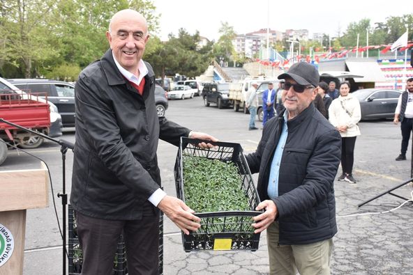 SALÇALIK DOMATES FİDESİ DAĞITILDI