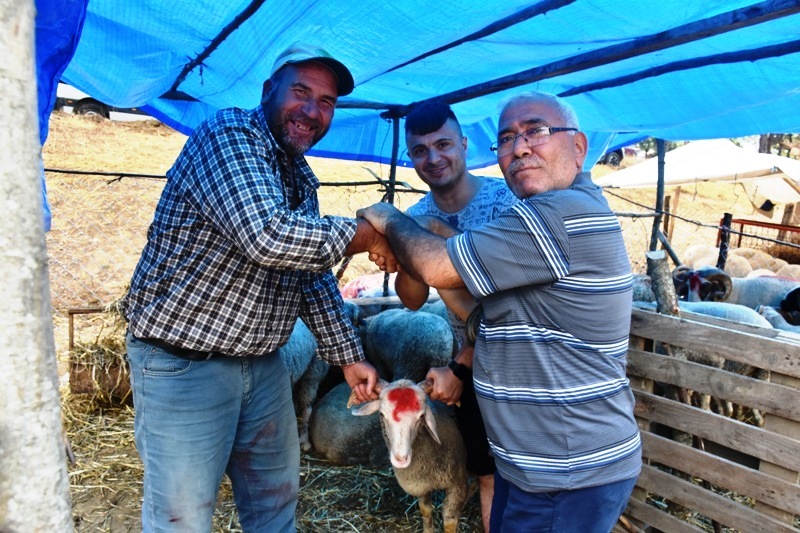 KURBAN BAYRAMI ÖNCESİ KURBAN PAZARINDA SON DURUM