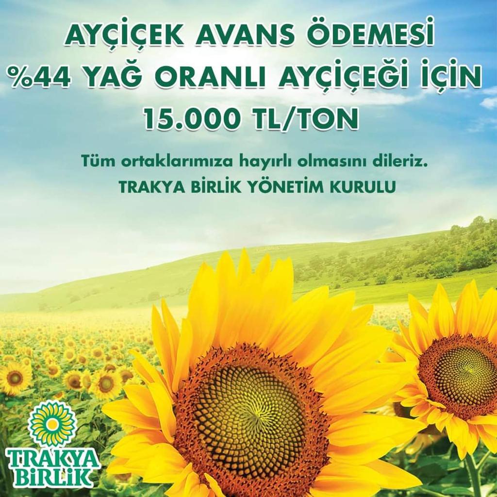 2023 yılı ayciçek fiyatları yağ oranlarına göre prim tutarları