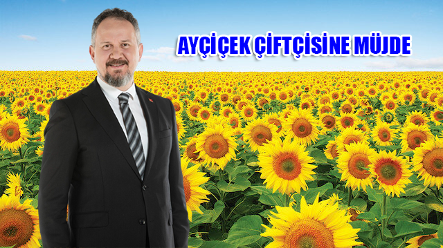 AYÇİÇEK ÇİFTÇİSİNE MÜJDE