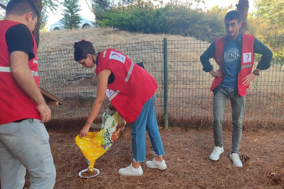 ‘Hayvanları Koruma Günü’nde Tekirdağ NKÜ Kampüsünde Gönüllü Öğrenciler Tarafından Mama Dağıtıldı