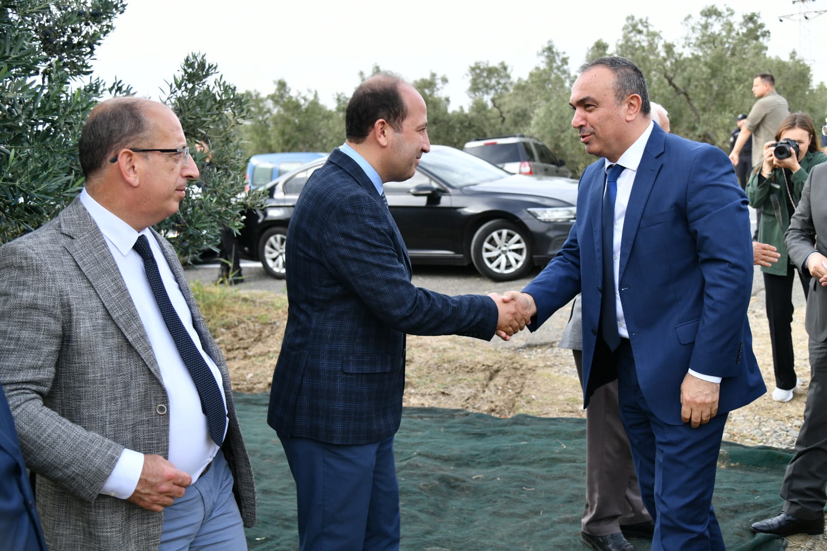 Vali Soytürk Zeytin Hasadına Katıldı