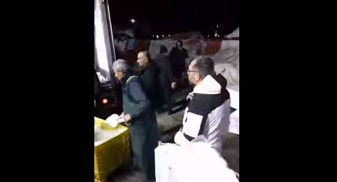 Tekirdağ balık halinde hamsi bolluğu.