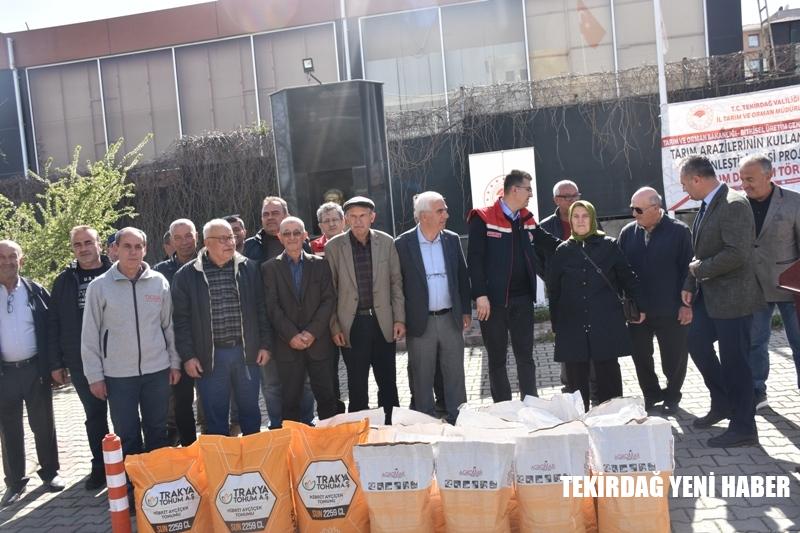 ÇİFTÇİLERE HİBRİT AYÇİÇEK VE KANOLA TOHUMU DAĞITILDI