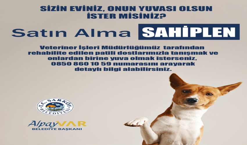 Satın Alma, SAHİPLEN!