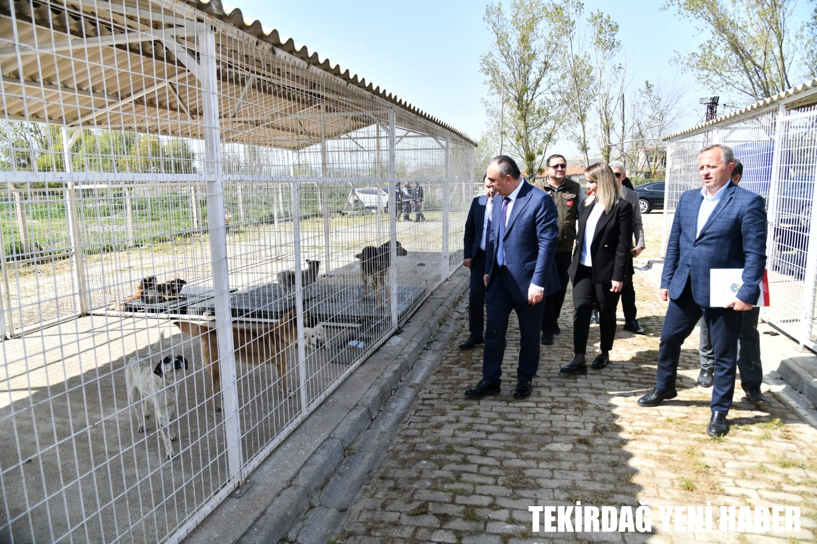 Vali Soytürk Malkara İlçemizde Bulunan Hayvan Barınağı ve Yeni Doğal Yaşam Alanı’nda İncelemelerde Bulundu