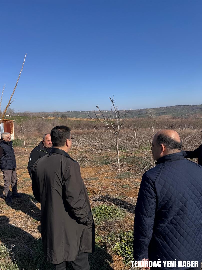 İl Müdürü Mehmet AKSOY Ceviz Bahçesini Ziyaret Etti
