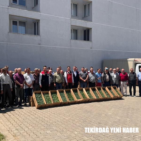 Sebzecilik Artsın Üreticilerin Yüzü Gülsün” Projesi Fide Dağıtımı Gerçekleşti