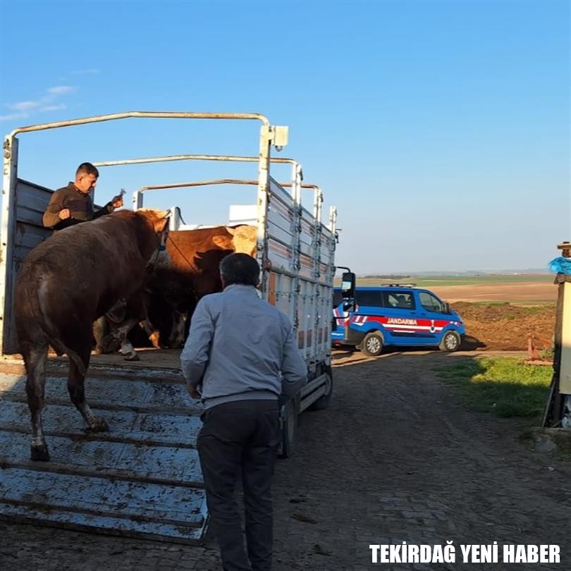 Trakya’nın Ari Statüsünü Korumak İçin Denetimler Sürüyor