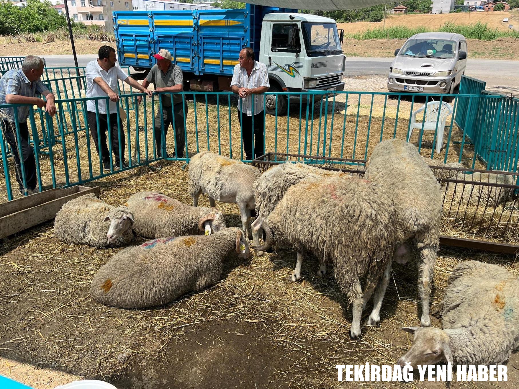 Başkan Nallar Kurbanlık Satış Alanını Ziyaret Etti