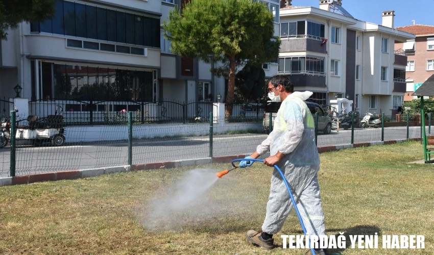 Kene ve Haşerelere Karşı İlaçlama Çalışmaları