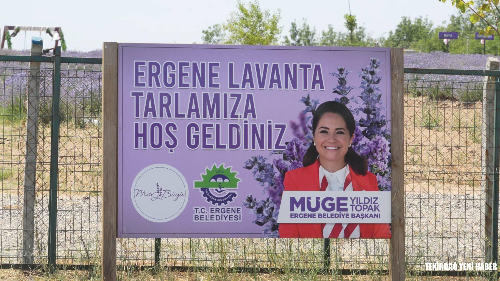 ERGENE’DE HANIMELİ LAVANTA VE ÇİLEK TARLASI HİZMETE AÇILDI