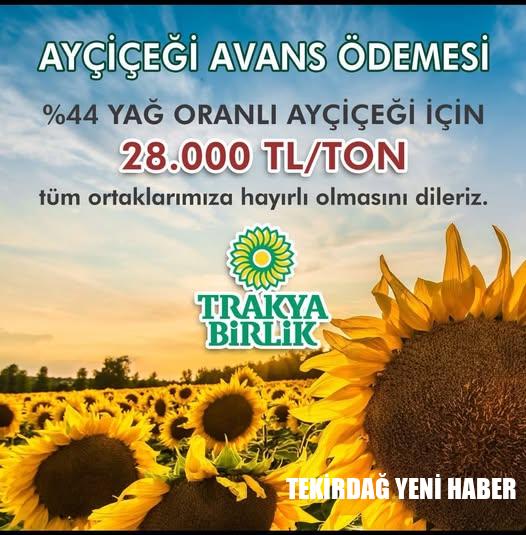 Trakya Birlik’ten Ayçiçeği Üreticisine Müjde: Avans Alım Fiyatı Açıklandı