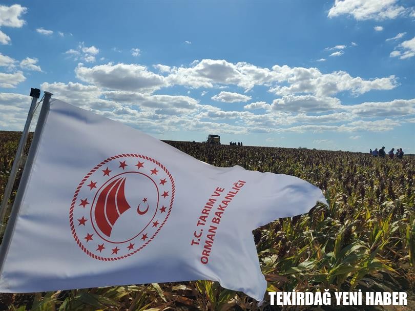 MURATLI’DA DANE SORGUM TARLA GÜNÜ DÜZENLENDİ