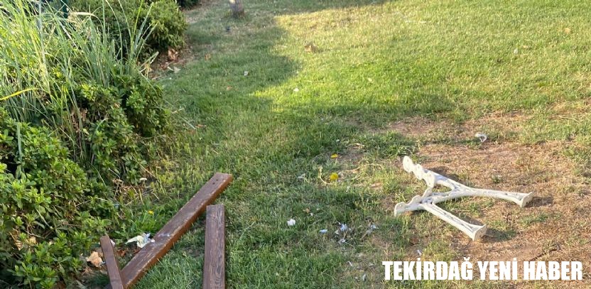 Tahrip Edilen Bankları Belediye Ekipleri Onardı