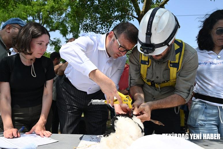 TREDAŞ,hayvan dostu projelerine devam ediyor