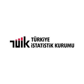 TÜİK | Yapay Zeka İstatistikleri 2025