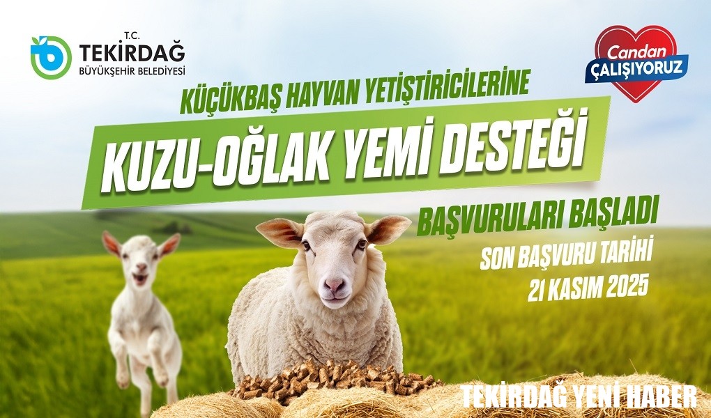 KÜÇÜKBAŞ HAYVAN YETİŞTİRİCİLERİNE KUZU-OĞLAK YEM DESTEĞİ BAŞVURULARI BAŞLADI