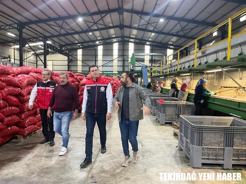 MODERN CEVİZ İŞLEME TESİSİ BAHÇESİ ZİYARET EDİLDİ