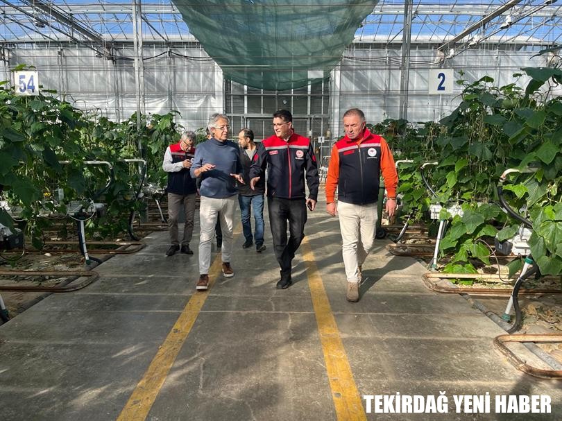 İl Müdürü Mehmet AKSOY Sebze ve Süs Bitkisi Üretim Tesisini Ziyaret Etti