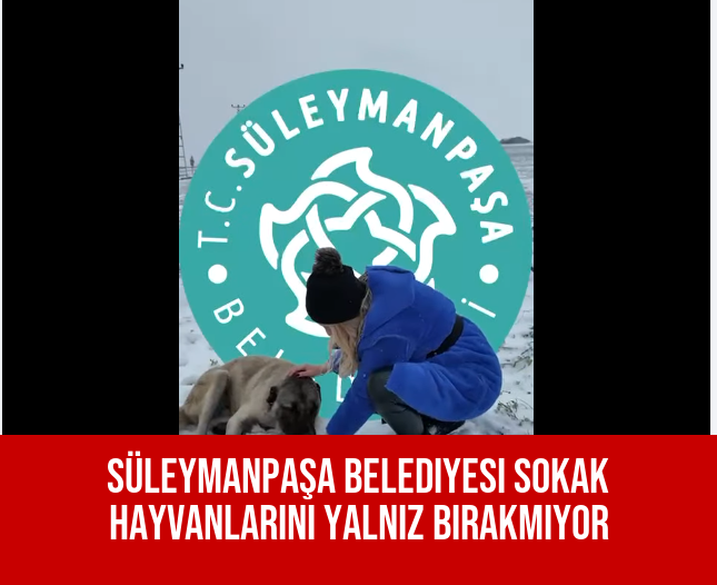 Süleymanpaşa Belediyesi Sokak Hayvanlarını Yalnız Bırakmıyor