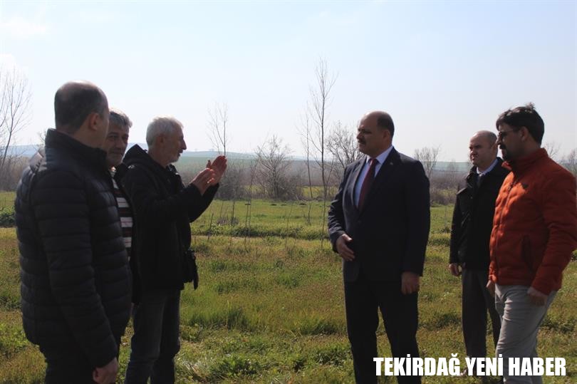Malkara İlçesinde Mera Islah ve Amenajman Projesi Kapsamında Gübreleme Çalışması Yapıldı