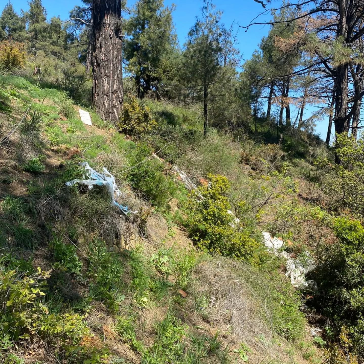 Tekirdağ’ın Doğa Güzellikleriyle Ünlü Dut Limanı Çöp İstilası Altında