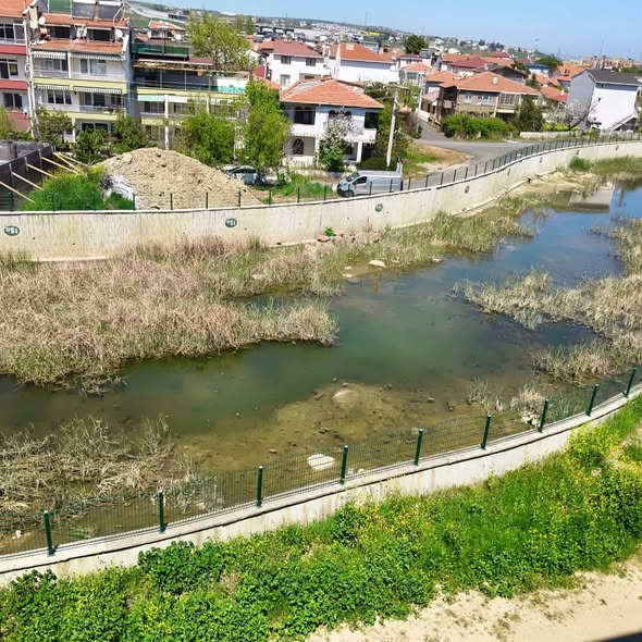 Kumbağ’da Dere Tepkisi: Sazlık Ve Pislik Temizlenmiyor
