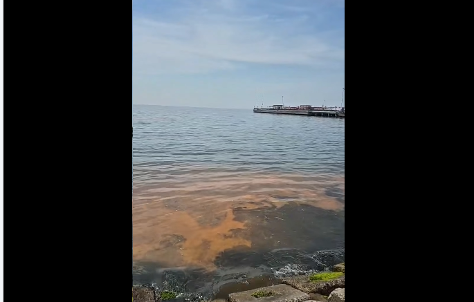 Tekirdağ’da planktonların çoğalması sonucu denizin rengi yer yer değişti